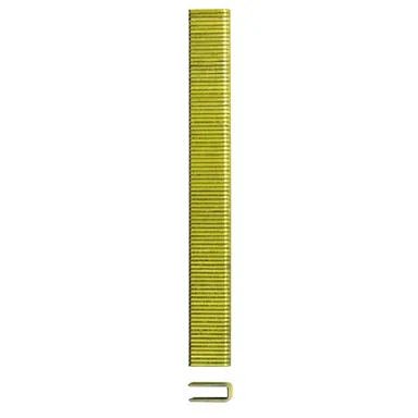 DeWalt DWCS20056, accessory: 20-Gauge 9/16 in. L 1/2 in. Crown Galvanized Carpet Staples (5,000-Box)